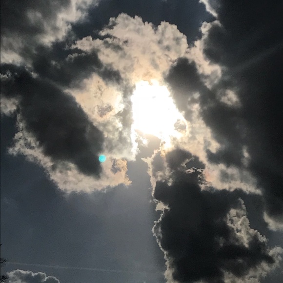 Meet your Posher, Tea - Picture 1 of 4